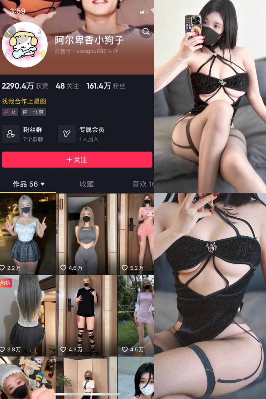 抖音 阿尔卑香小狗子 微密圈 NO.046期 【14P1V】-尤坊沐