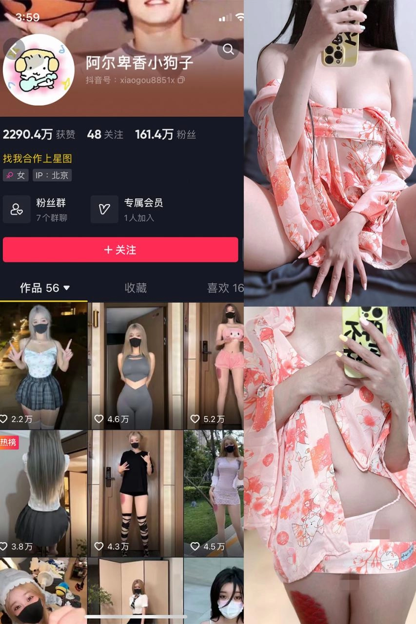 抖音 阿尔卑香小狗子 微密圈 NO.052期 【22P4V】-尤坊沐