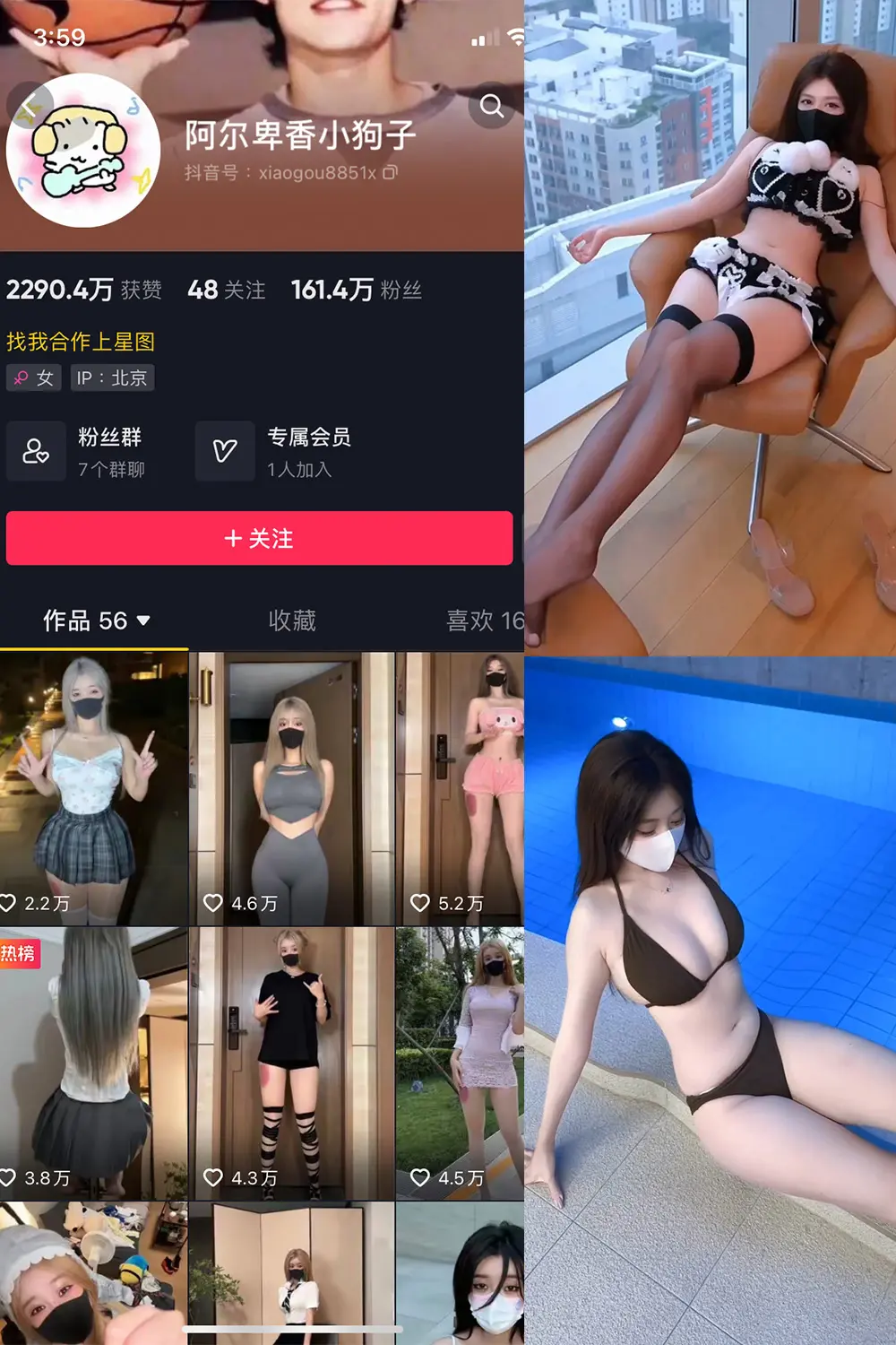 抖音 阿尔卑香小狗子 微密圈 | 觅圈 NO.062期 【8V】-尤坊沐