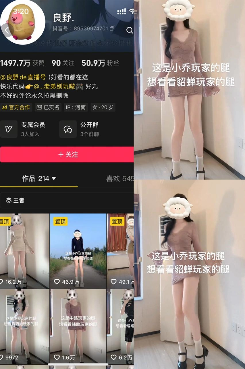 抖音 良野 岛遇 全套作品资源合集-尤坊沐