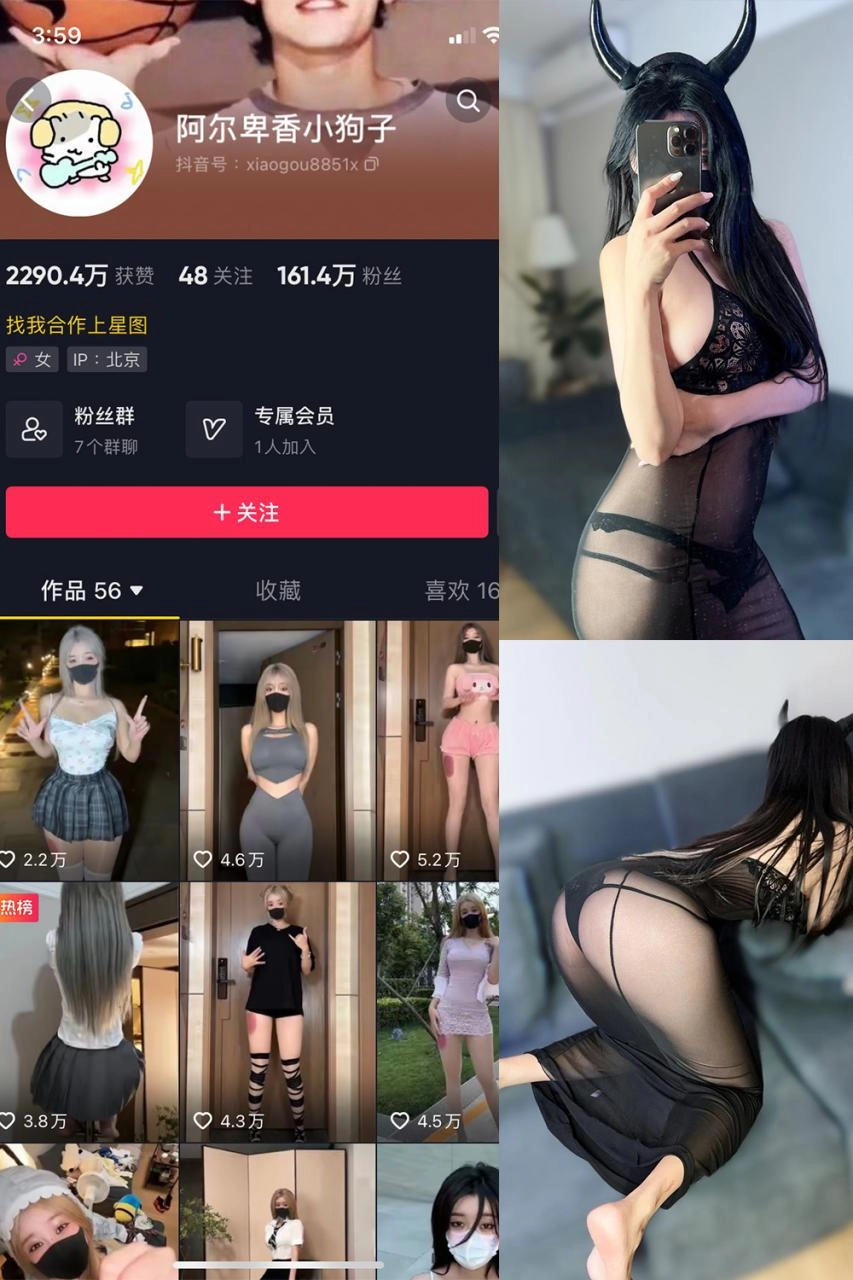 抖音网红阿尔卑香小狗子微密圈图片&视频 全套资源合集[持续更新]-尤坊沐